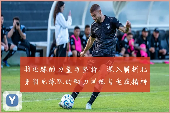 羽毛球的力量与坚持：深入解析北京羽毛球队的耐力训练与竞技精神