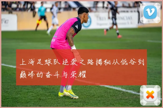 上海足球队逆袭之路揭秘从低谷到巅峰的奋斗与荣耀