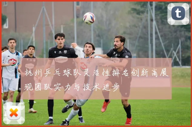 杭州乒乓球队灵活性排名创新高展现团队实力与技术进步