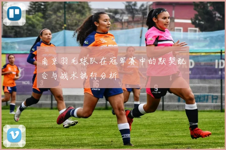 南京羽毛球队在冠军赛中的默契配合与战术执行分析