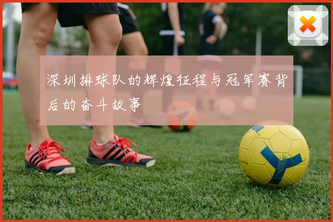 深圳排球队的辉煌征程与冠军赛背后的奋斗故事