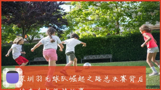 深圳羽毛球队崛起之路总决赛背后的奋斗与坚持故事
