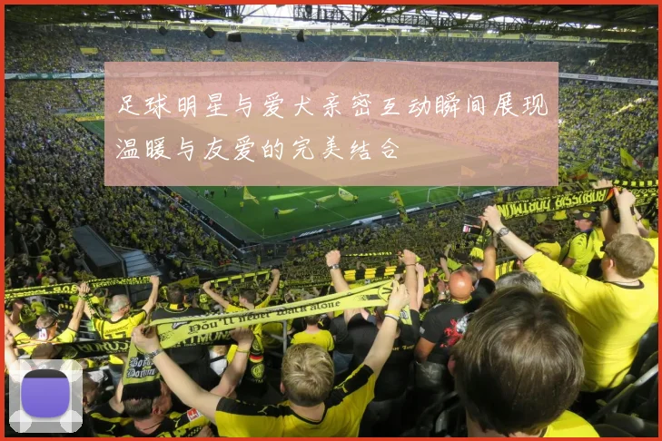 足球明星与爱犬亲密互动瞬间展现温暖与友爱的完美结合