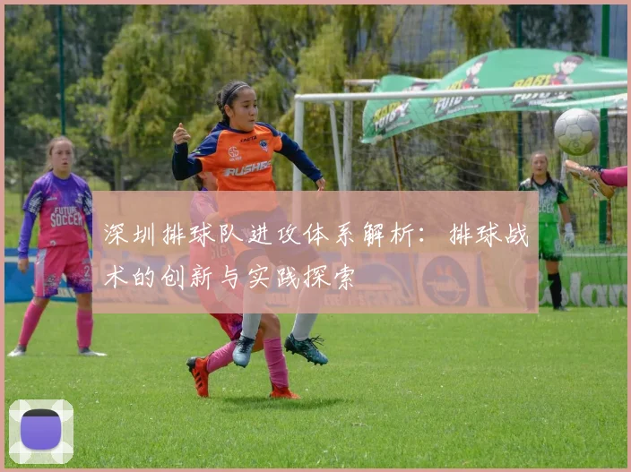 深圳排球队进攻体系解析：排球战术的创新与实践探索