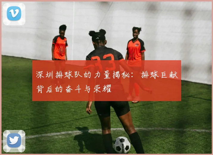 深圳排球队的力量揭秘：排球巨献背后的奋斗与荣耀