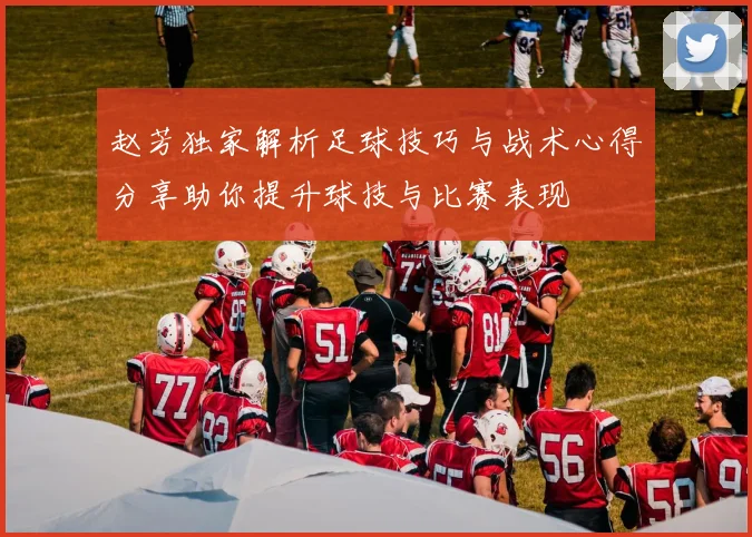 赵芳独家解析足球技巧与战术心得分享助你提升球技与比赛表现